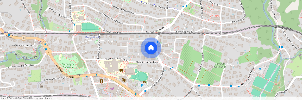 1009, Pully, Chemin du Fau-Blanc, 2C