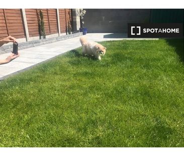 Room for rent in 3-bedroom house in Donabate.Single Only - Photo 4