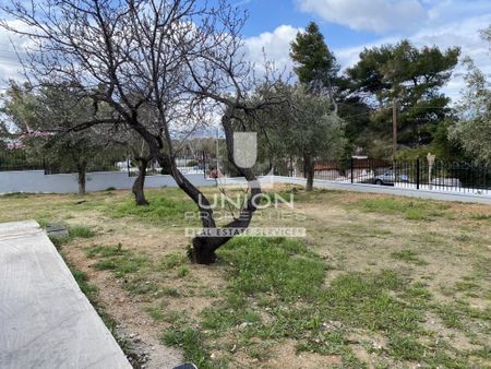 Μονοκατοικία για ενοικίαση Λαγονήσι (Καλύβια Θορικού) - Photo 5