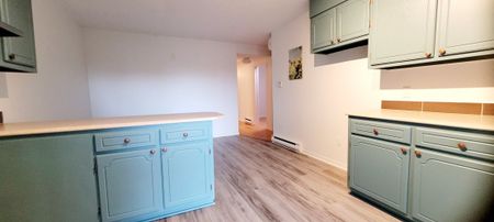 10225 Av. du Sacré-Coeur, H2C 2S6, H2C 2S6, Montréal - Photo 5