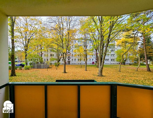 Schöne helle 2-Raum-Wohnung mit Balkon im Erdgeschoss - Foto 1