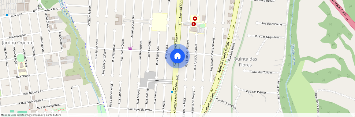 Avenida Andrômeda, Bosque dos Eucaliptos, São José dos Campos