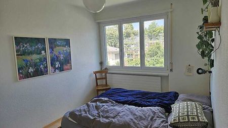 3 Zimmer-Wohnung in Zürich - Kreis 3 Binz, möbliert, auf Zeit - Photo 3