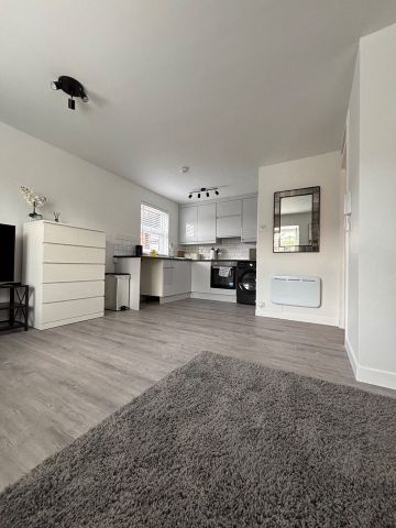 Studio Flat, Mayfield Road, W12 - Photo 3