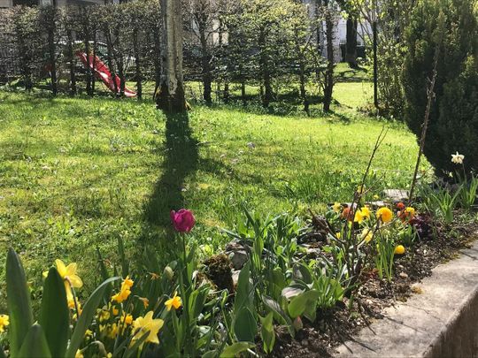 3 Zimmer, 1. Stock - Photo 1