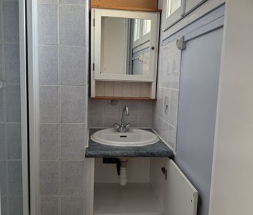 Location Appartement 2 pièces 41m² MAISONS ALFORT 94700 - Photo 2