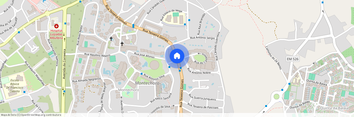 Rua Manuel Teixeira Gomes, Faro