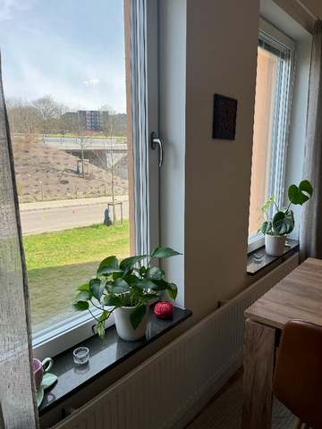 Gamla Dalbyvägen, Lund - Foto 4