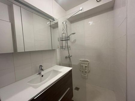 Location Appartement 1 pièce 29m² AIX LES BAINS 73100 - Photo 4