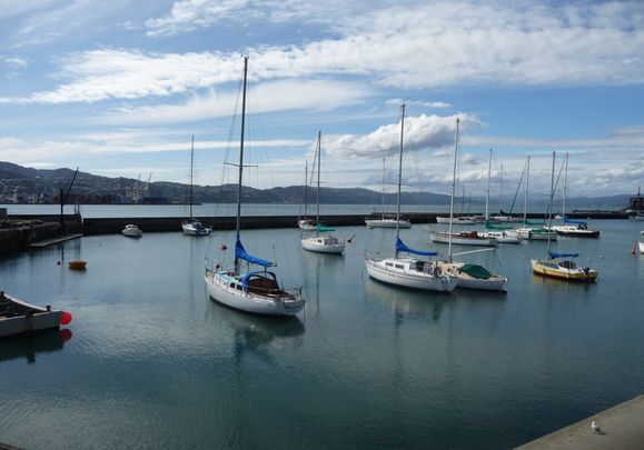 Spacious 2 bedroom apartment with views over Wellington's Waitangi Park and Oriental Parade - Photo 1