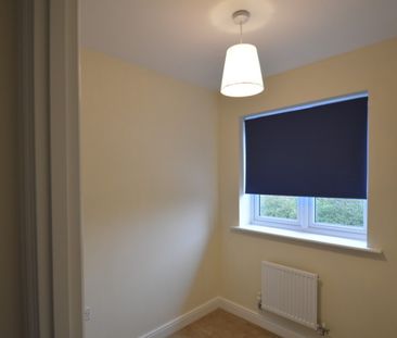 3 bedroom House - Mount Pleasant Lane, Hatfield - Photo 3