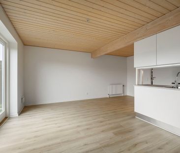 Attraktive lejeboliger i Fraugde, med plads til familien - Foto 1