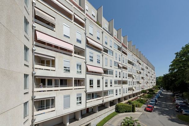 Quartier de la Gradelle - Chêne-Bougeries - Photo 1