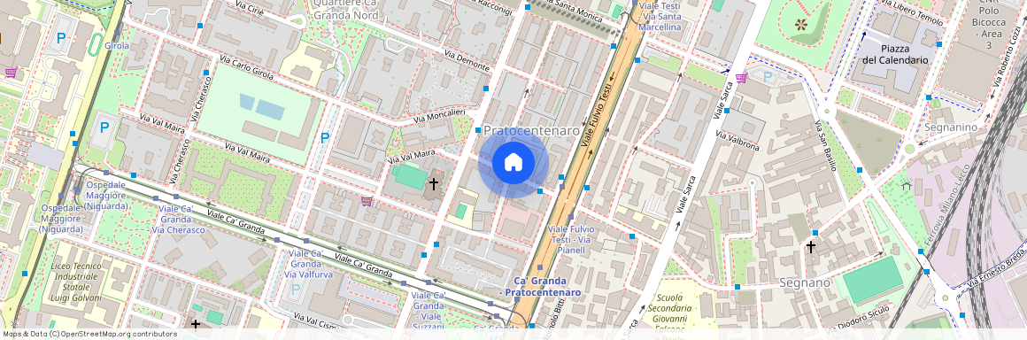 Via Salvatore Pianell 56, Milano