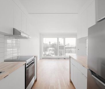 Appartement 3 ½ à louer Montcalm / Saint-Sacrement février 2026 - Photo 3