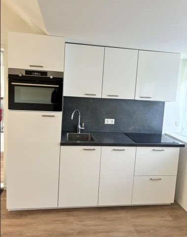 Studio Renesselaan, De Meern (Utrecht) - À Louer - Foto 4