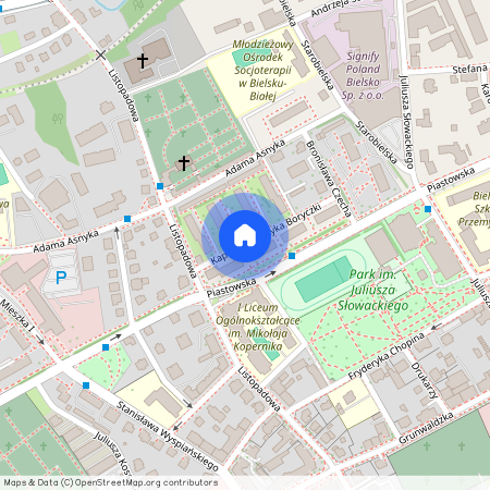 ul. kpt. Henryka Boryczki, Dolne Przedmieście, Bielsko-Biała, śląskie