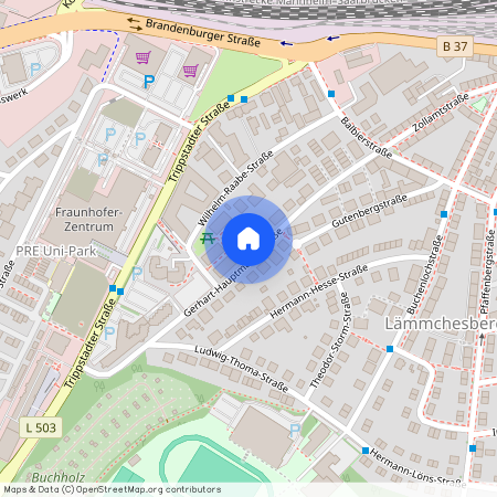 Gerhart-Hauptmann-Straße 16, 67663 Rheinland-Pfalz - Kaiserslautern