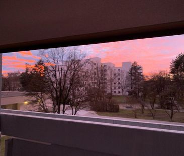 Apartment for Sublease: December – February - Photo 1