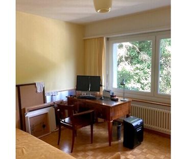 3½ Zimmer-Wohnung in Zollikon (ZH), möbliert, auf Zeit - Photo 1