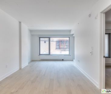 1200 rue MacKay - Unité 3½, Ville-Marie (Centre-Ville et Vieux-Mont... - Photo 5