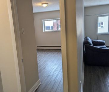 344 Dundas Street apartment — Ottawa, ON (1-Bedroom) - 1 Bedroom - Photo 4