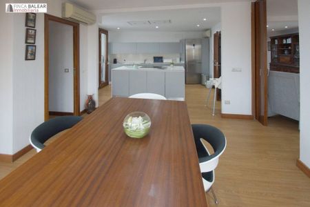 3 room luxury penthouse for rent in Palma de Mallorca, Balearic Islands - Photo 2