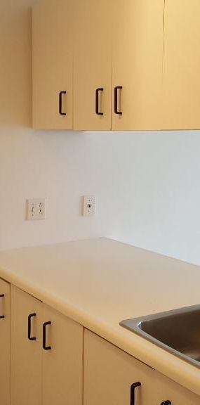 Grand logement 4 1/2 à louer -- Limoilou - Photo 1