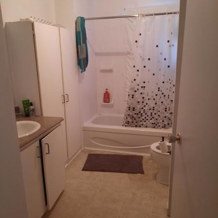 3 ET DEMI LIBRE À PARTIR DU 1ER MAI 2026 - Photo 4