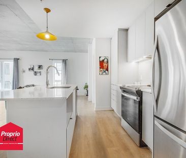 Appartement Mercier/Hochelaga-Maisonneuve (Montréal) À Louer - Photo 1