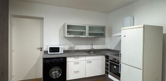 À LOUER - T2 MEUBLÉ ENTIEMENT RÉNOVÉ AVEC JARDIN PRIVATIF - Photo 2