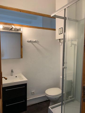 Appartement de 2 pièces (57 m²) à louer à SAINT ETIENNE - Photo 5