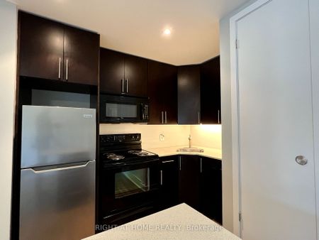 Roncesvalles Lofts , #203 - Photo 5