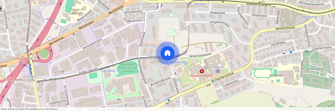 8952, Schlieren, Spitalstrasse, 38