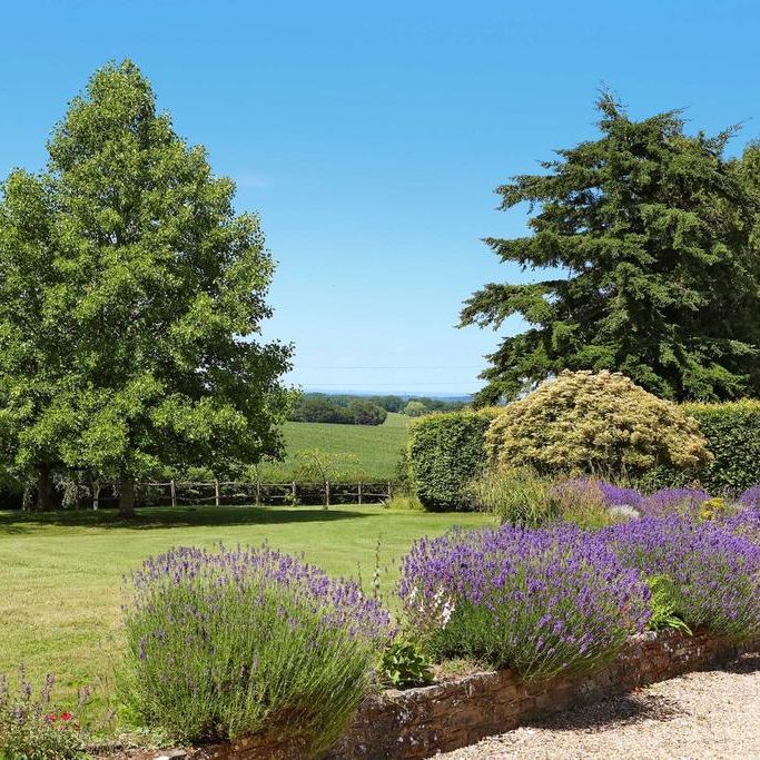 6 bedroom detached house to rent - Photo 1