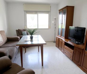 Piso de alquiler en Avenida de Juan Sebastián Elcano, Ciudad Jardín - Photo 2