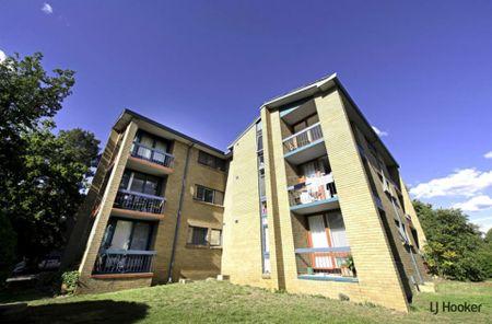 Opportunity Knox!! - Photo 5