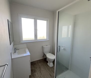 Located at 20A Goldsmith Street in the heart of Maeroa, this tidy t... - Photo 3