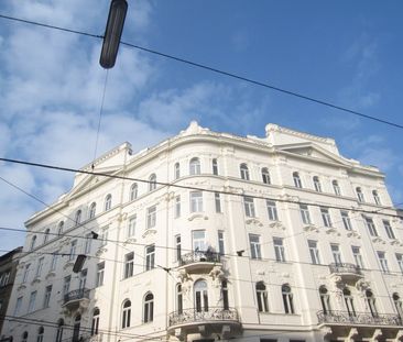 Großzügige und ruhige Altbauwohnung in hoher Stockwerkslage - Foto 4