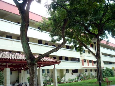 Blk 133 Yishun Street 11 (Yishun), HDB 3 Rooms - For Rent - Photo 3