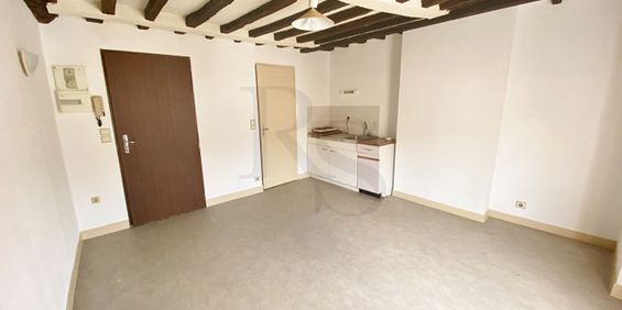 Location Appartement 1 pièce 19m² - Photo 3