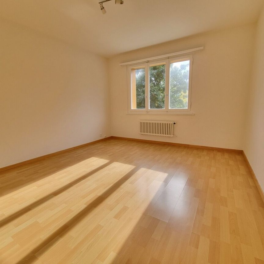 Vie centrale à Dietikon - Foto 1