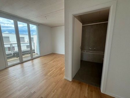 LE TICLE : Appartements neufs à louer - Photo 5