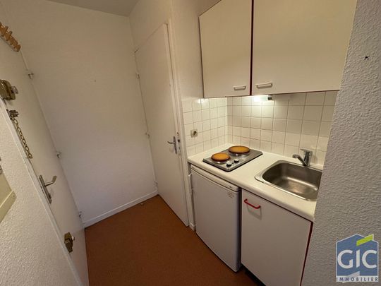 Location Appartement 1 pièce 18m² - Photo 1