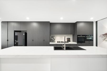39B Daphne Street, Botany NSW 2019 - House For Rent | Domain - Photo 2