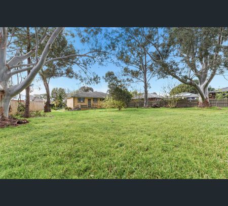 4 Nursery Avenue, Frankston, Vic 3199 - Photo 5