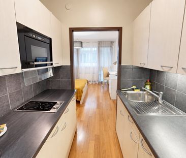 Modern Fully Furnished Studio near University of Geneva & HUG - Plainpalais, Geneva - Foto 3