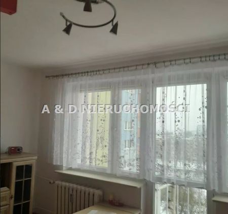 Bydgoszcz, Wyżyny, Ku Wiatrakom - Zdjęcie 4