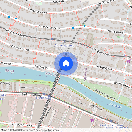 Ackersteinstrasse 13, 8049 Zürich, Lageplan