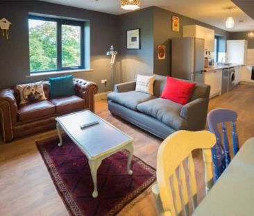 Gold Plus Room - Photo 6